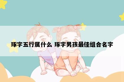 琢字五行属什么 琢字男孩最佳组合名字