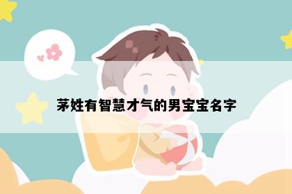 茅姓有智慧才气的男宝宝名字