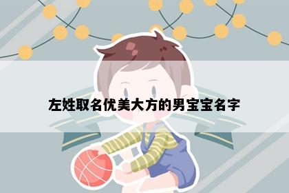 左姓取名优美大方的男宝宝名字