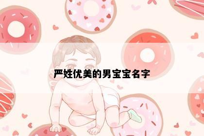 严姓优美的男宝宝名字